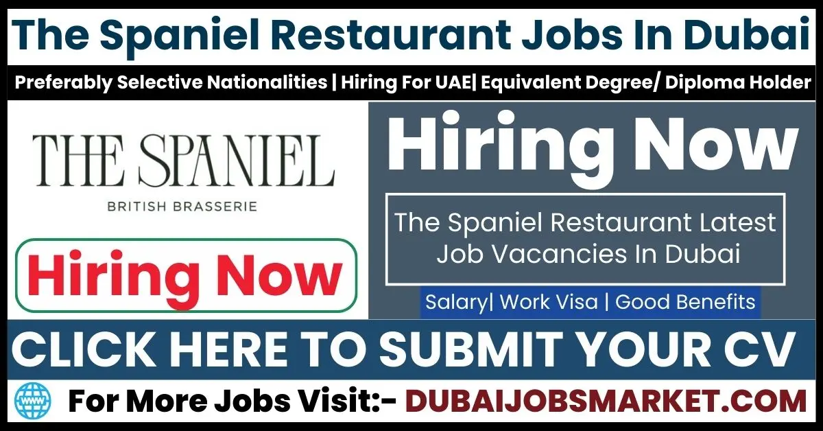 The Spaniel Jobs in Dubai : Discover Exceptional Career Growth