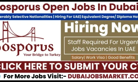 Bosporus Jobs In Dubai