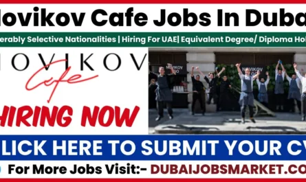 Novikov Cafe Jobs In Dubai